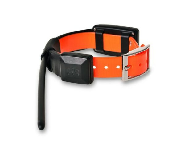 Collar adicional perros Localizador GPS Dogtrace X-20+