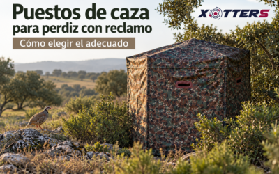 Puestos de caza para perdiz con reclamo: cómo elegir el adecuado